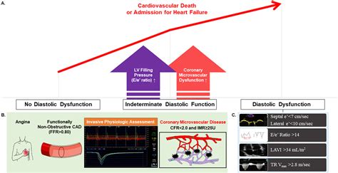 indeterminate lv diastolic function|indeterminate diastolic function in elderly.